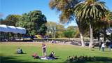 Photo of people relaxing in a Hamilton park