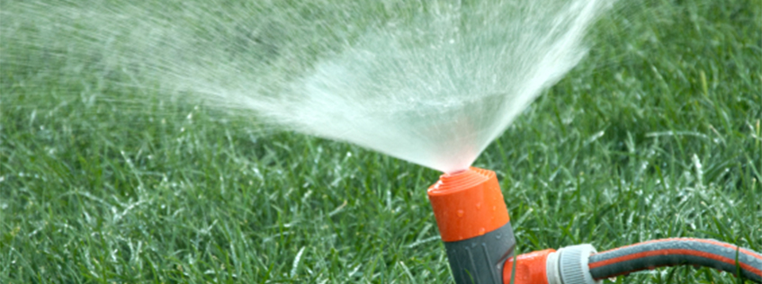 Close up image of a sprinkler watering lawn